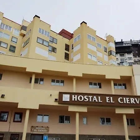 El Ciervo-3